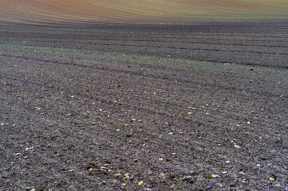 The image shows the photograph of a sloping agricultural field. You can see the patterns of the earth and some faint grass.