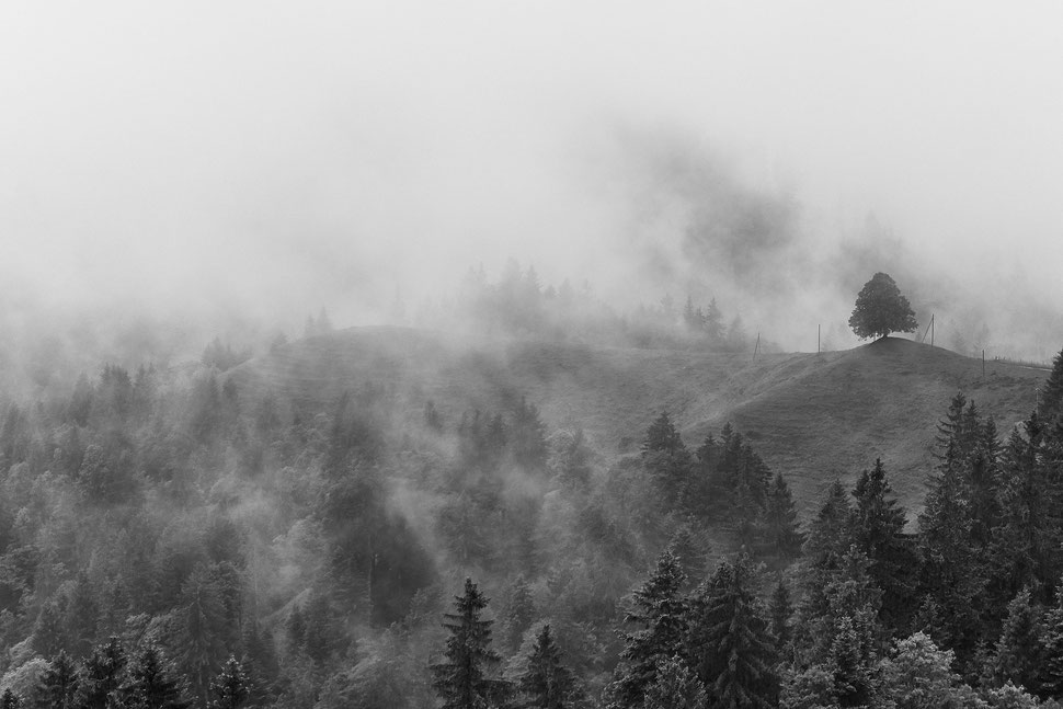 The image shows a photograph of a foggy lancscape close to the Napf (Switzerland).