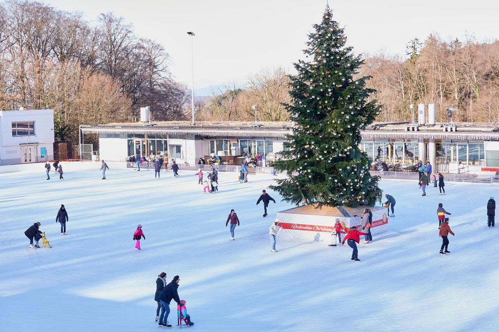 The image shows a photograph of ice skating people during a beautiful day in Winter. There is a decorated Christmas tree in the midst of the ice skating rink. 