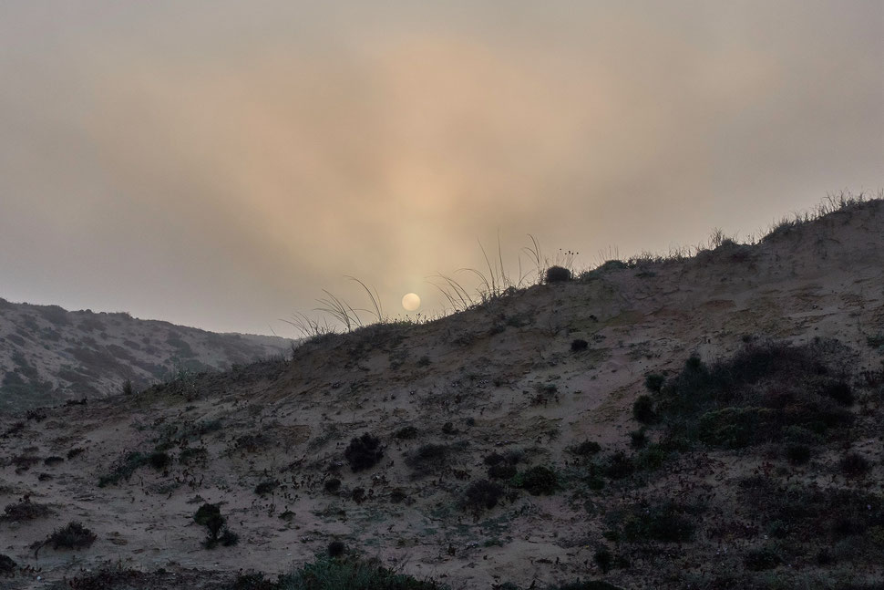 The image shows the photograph of a sunrise over sanddunes on a hazy morning on the west coast of Portugal. 