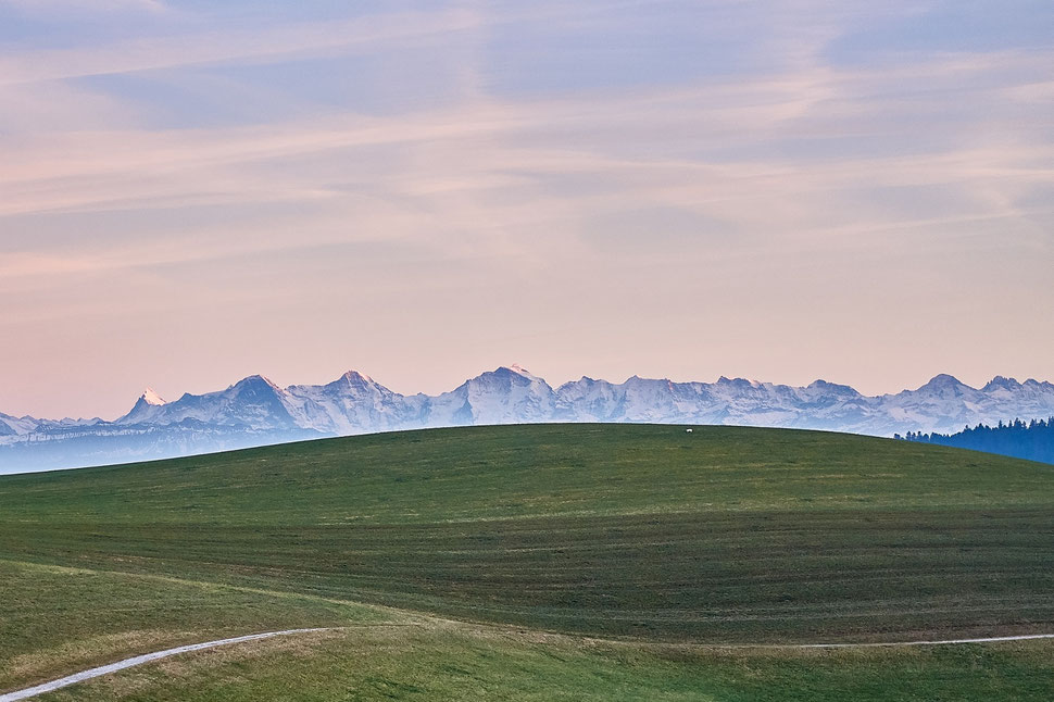 The image shows the photograph of a moonlike landscape with a field of grass ain the foregroundand a mountain chain and a faintly colored sky in the background. 