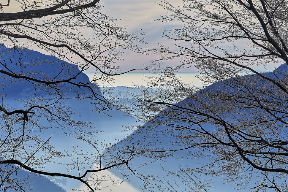 The image shows the photograph of a landscape with branches (in the foreground), mountains and Lake Lugano (in the background).