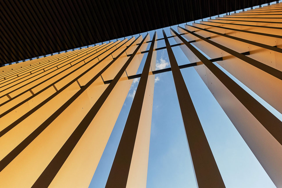 The image shows the photograph of the facade and the ceiling of a building, which consists of wooden beams. The beams are illuminated by sunlight. 