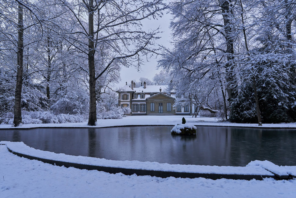 The image shows the photograph of a park with trees and a stately building in Winter. The location is Bümpliz Castle.