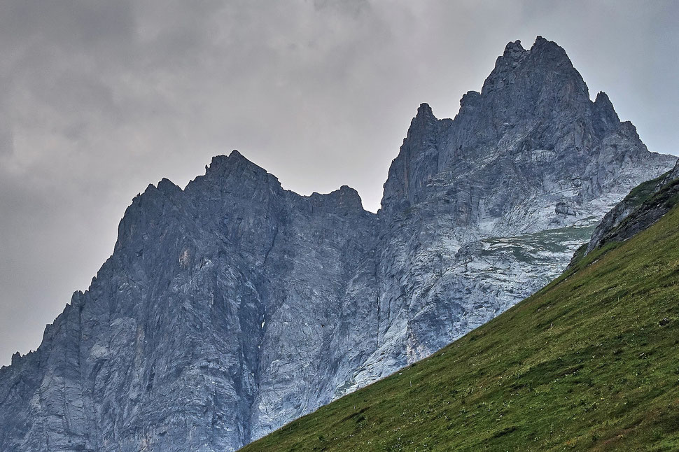 The image shows the photograph of large jagged and stark mountains against a grey sky. There is an alpine meadow in the foreground.