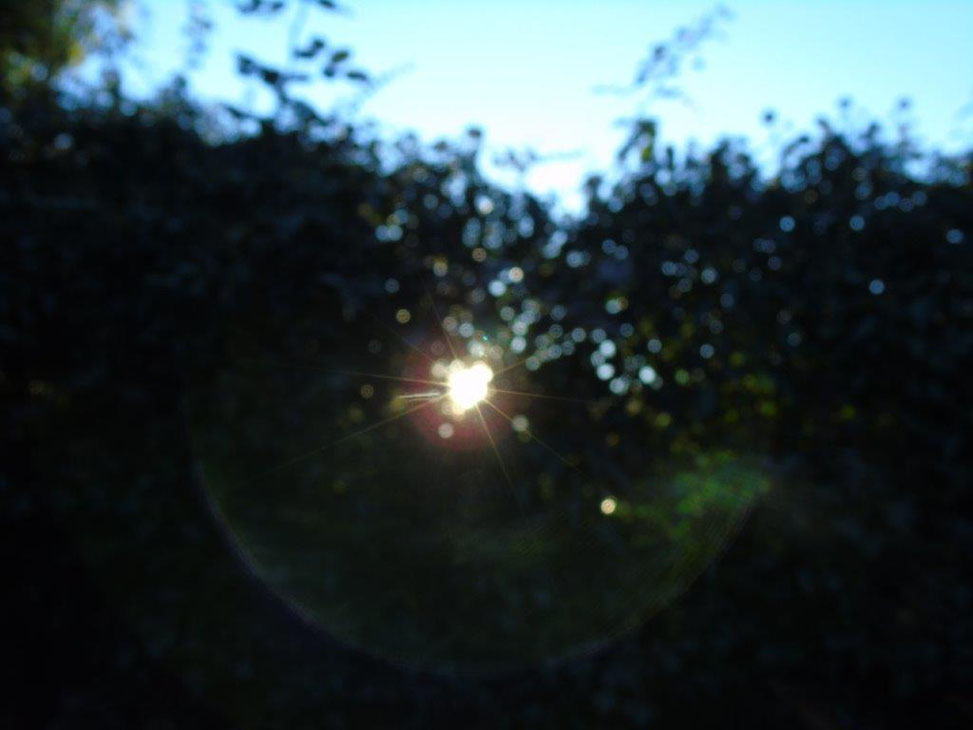 Foto mit Herz, aus der Serie "Herzchakra"