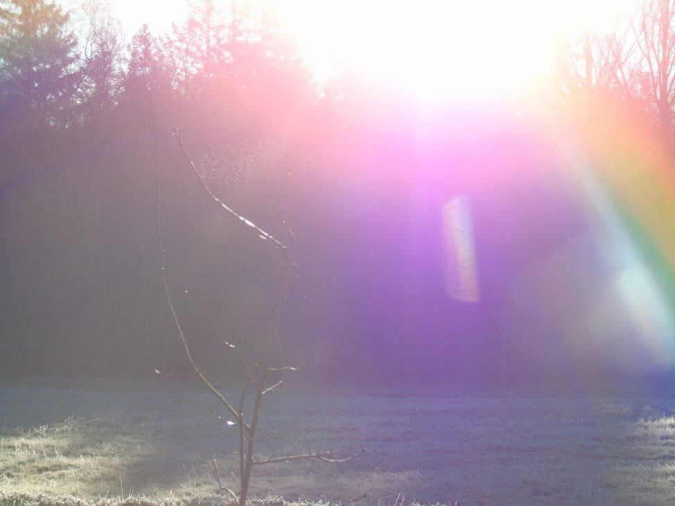 Wenn die Engel ihre Flügel ausbreiten, um uns Menschen in ihr warmes Licht einzuhüllen.....Aufnahme vom 28.02.2022, www.lichtwesenfotografie.com☼☼☼ ☼☼☼ ☼☼☼