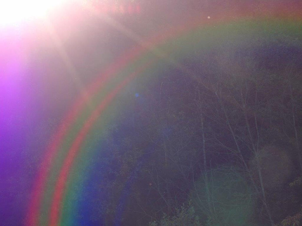 Regenbogenbrücke, Quelle: www.lichtwesenfotografie.com