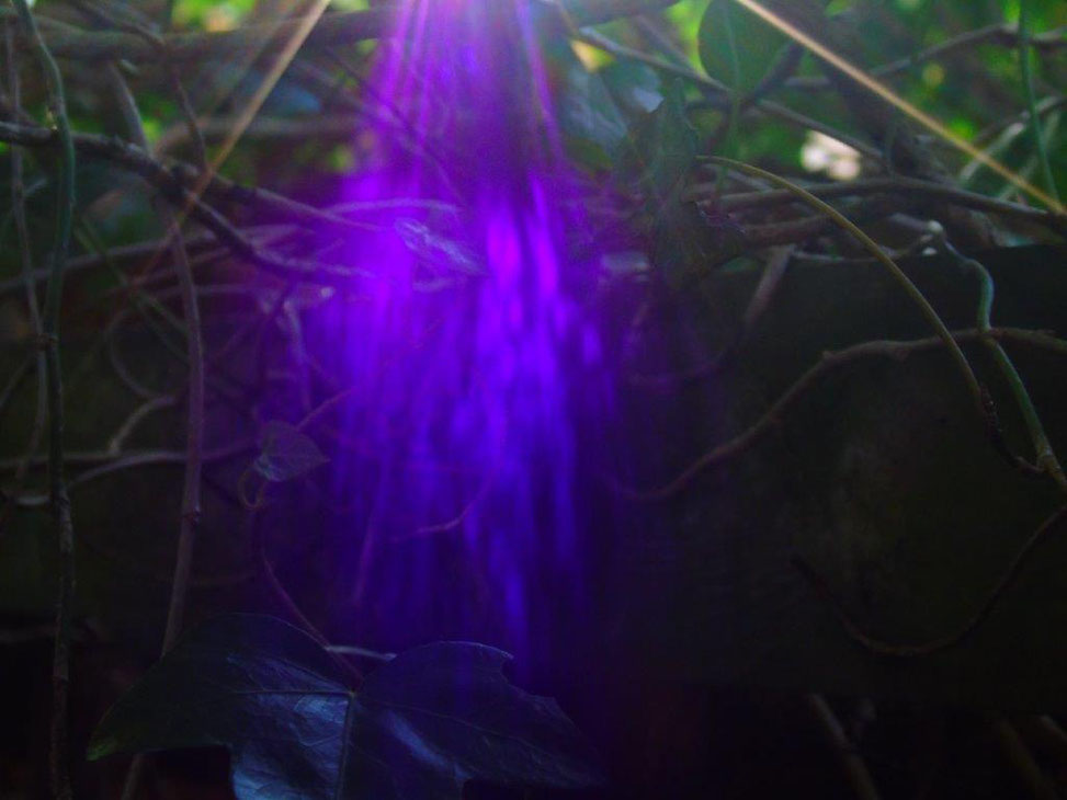 Immer wieder die Violette Flamme der Reinigung, der Auflösung alten, emotionalen Ballasts, mit einer nicht zu unterschätzenden WirkKraft.
