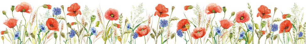 selbstklebende umweltfreundliche Vliesbordüre im Landhausstil - mit Mohnblumen, Kornblumen, Getreideähren auf weißem Hintergrund - Watercolor