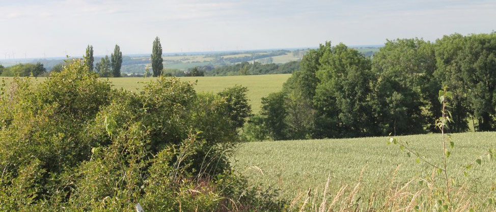 Katzenberg - Kirchweg nach Wuhsen, 2020, Foto: EvW