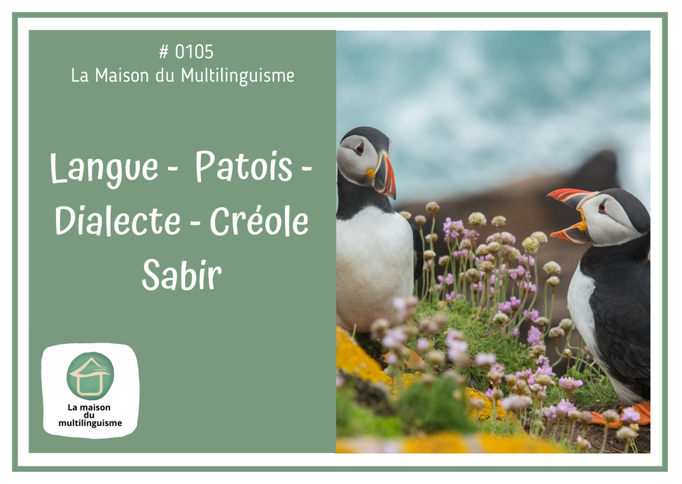 Langue, dialecte, patois, créole, sabir... Conseils & Formations en