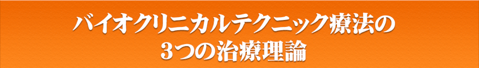 バイオクリニカルテクニック療法の 3つの治療理論