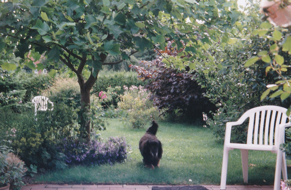 Mein Garten in Leer