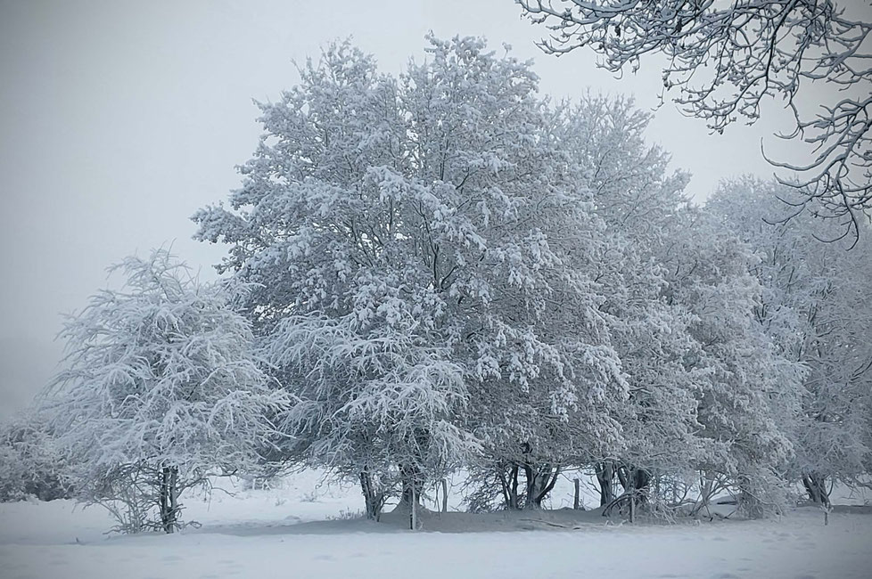 Schnee, Pause, Raunächte, 2026, Happy New Year, Neujahr, Neujahrswünsche, Imbolc,