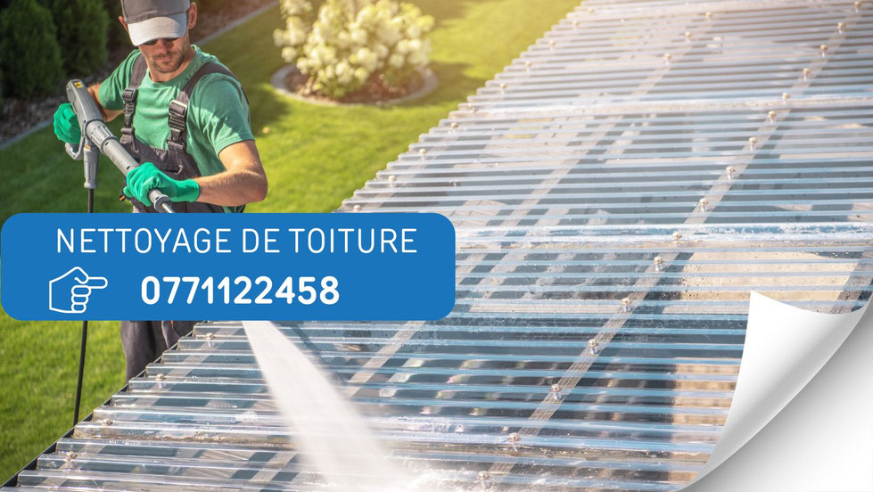 nettoyage fenetre de toit - verriere - lyon