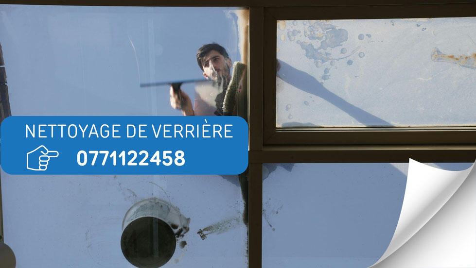 nettoyage verriere de toit lyon