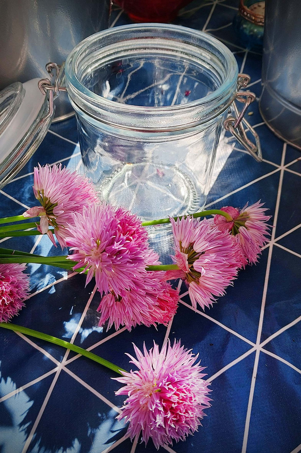 Schnittlauch, Schnittlauchblüten, lila, rosa, Allium, Allium schoenoprasum, Essig, Essig ansetzen, Gewürzpflanze, Kräuter, Gartenkräuter, Heilpflanze, Kräuterhexe, Schnittlauchblüten-Essig, 
