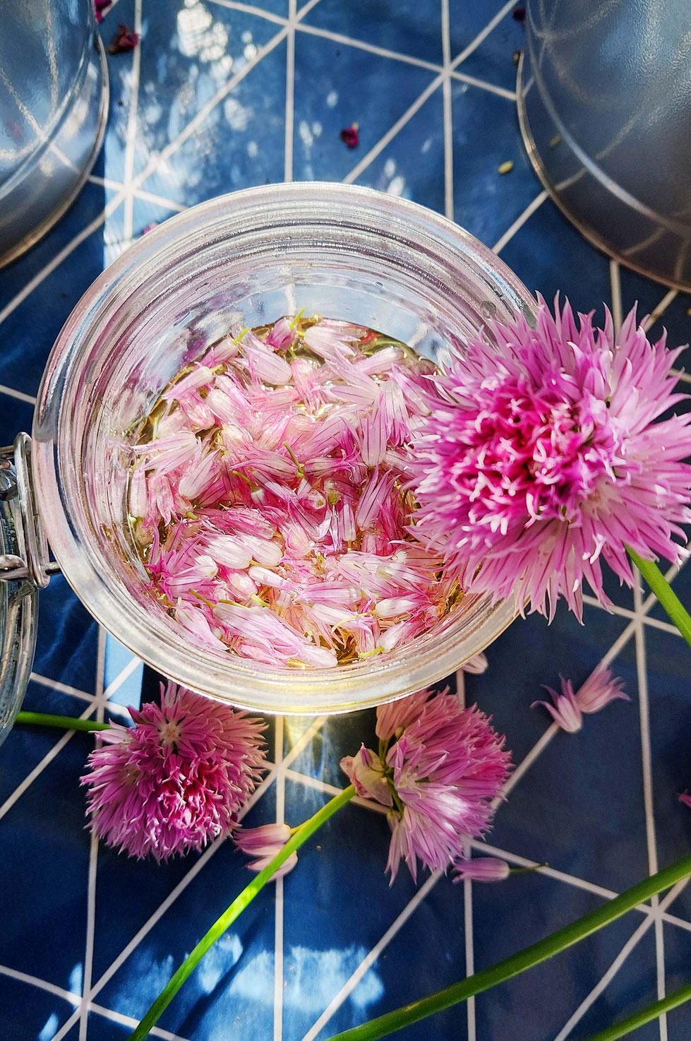 Schnittlauch, Schnittlauchblüten, lila, rosa, Allium, Allium schoenoprasum, Essig, Essig ansetzen, Gewürzpflanze, Kräuter, Gartenkräuter, Heilpflanze, Kräuterhexe, Schnittlauchblüten-Essig, 