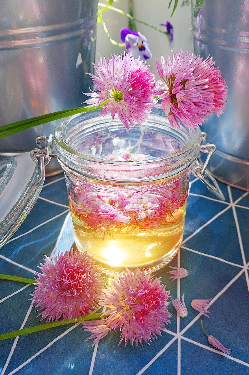 Schnittlauch, Schnittlauchblüten, lila, rosa, Allium, Allium schoenoprasum, Essig, Essig ansetzen, Gewürzpflanze, Kräuter, Gartenkräuter, Heilpflanze, Kräuterhexe, Schnittlauchblüten-Essig, 