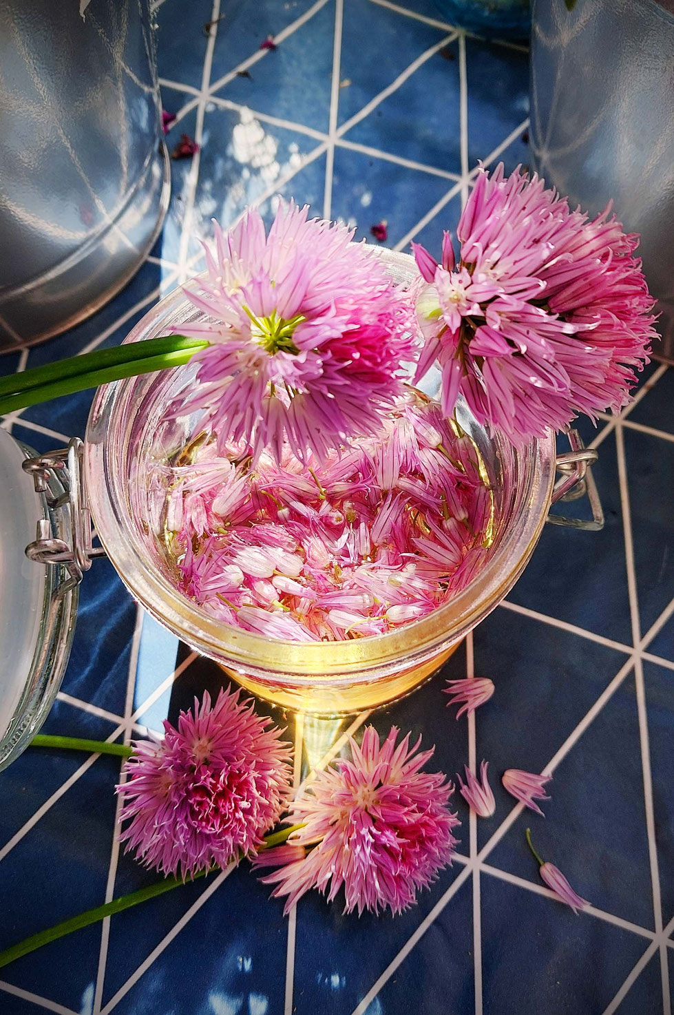 Schnittlauch, Schnittlauchblüten, lila, rosa, Allium, Allium schoenoprasum, Essig, Essig ansetzen, Gewürzpflanze, Kräuter, Gartenkräuter, Heilpflanze, Kräuterhexe, Schnittlauchblüten-Essig, 