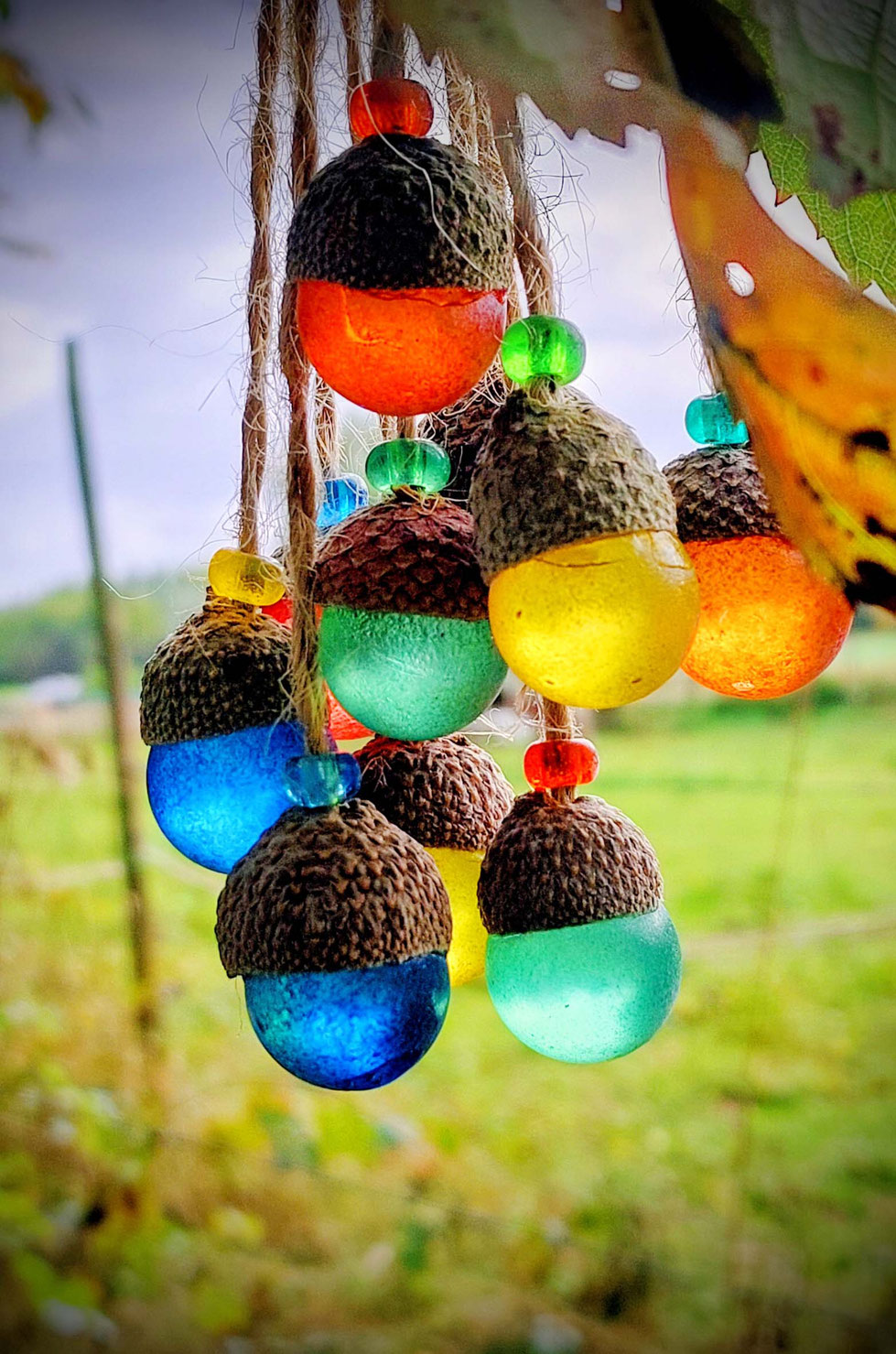 Eicheln, Eichelhütchen, Quercus, Roteiche, Baumfrüchte, Eiche, Stieleiche, Herbst, Basteln, bemalen, malen, Acrylfarbe, Murmeln, Glasmurmeln, Metallic, Design, kreatives, Kunst, Eichelkunst, Metallicfarbe, Natur, Naturmaterialien, Herbst, Kräuterhexe,