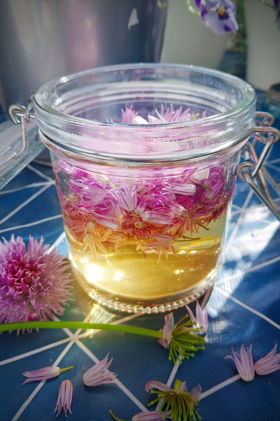 Schnittlauch, Schnittlauchblüten, lila, rosa, Allium, Allium schoenoprasum, Essig, Essig ansetzen, Gewürzpflanze, Kräuter, Gartenkräuter, Heilpflanze, Kräuterhexe, Schnittlauchblüten-Essig, 