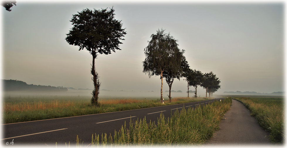 Eine Landstraße am frühen Morgen im Selfkant