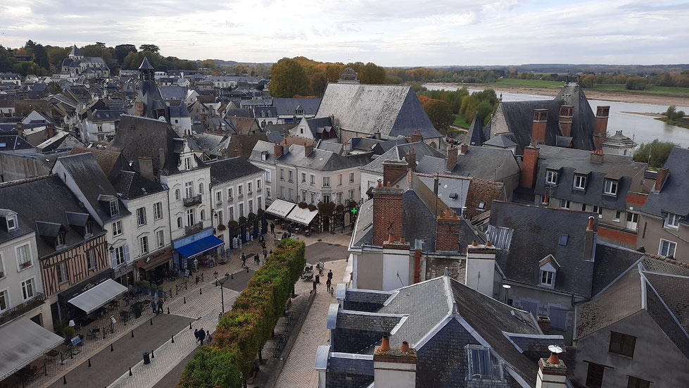 Vue sur la ville d'Amboise depuis le château