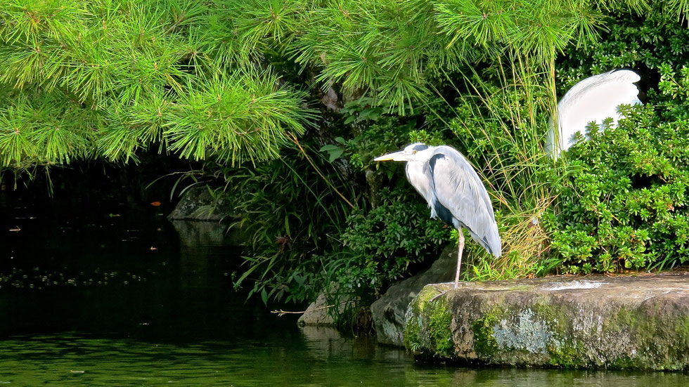 本願寺百華園