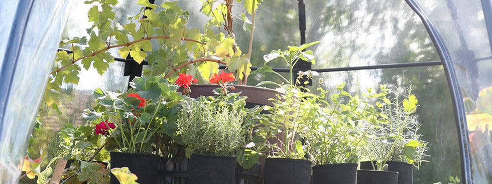 Was braucht man zum Urban Gardening ? Schachtel gefüllt mit Seedballs und einer kleinen Stecklingsschere auf einem alten Gartenstuhl