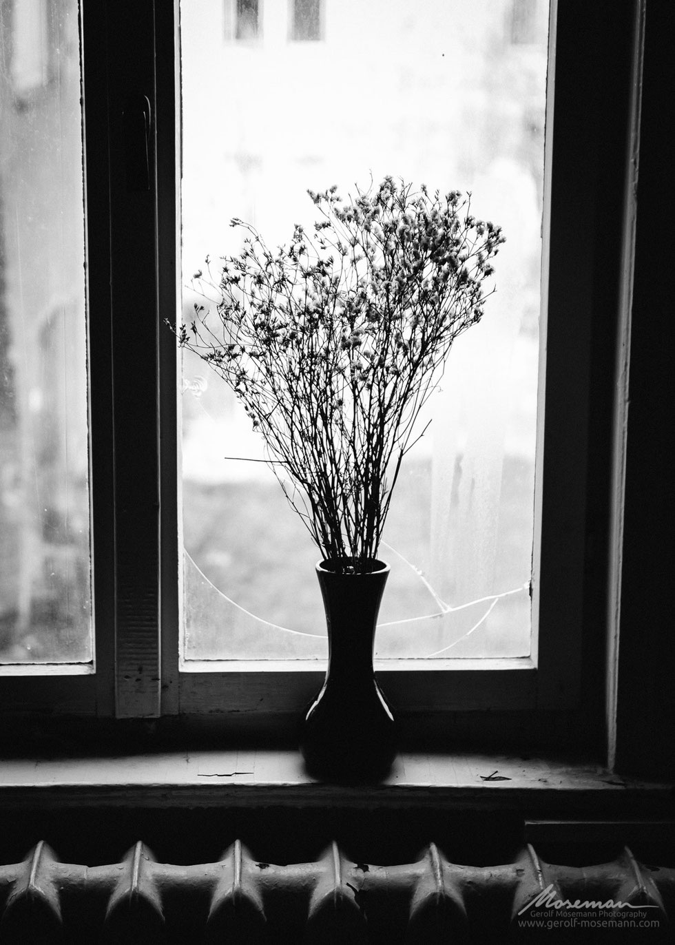 A bouquet of flowers in a broken window