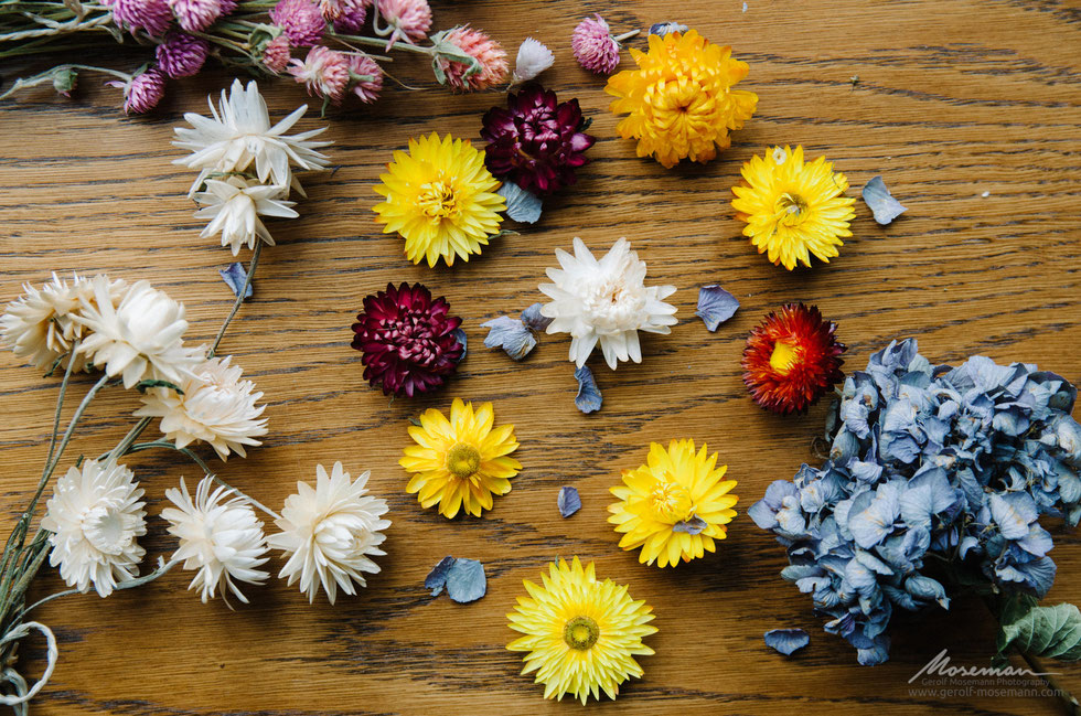 Floriography: Everlasting flowers.