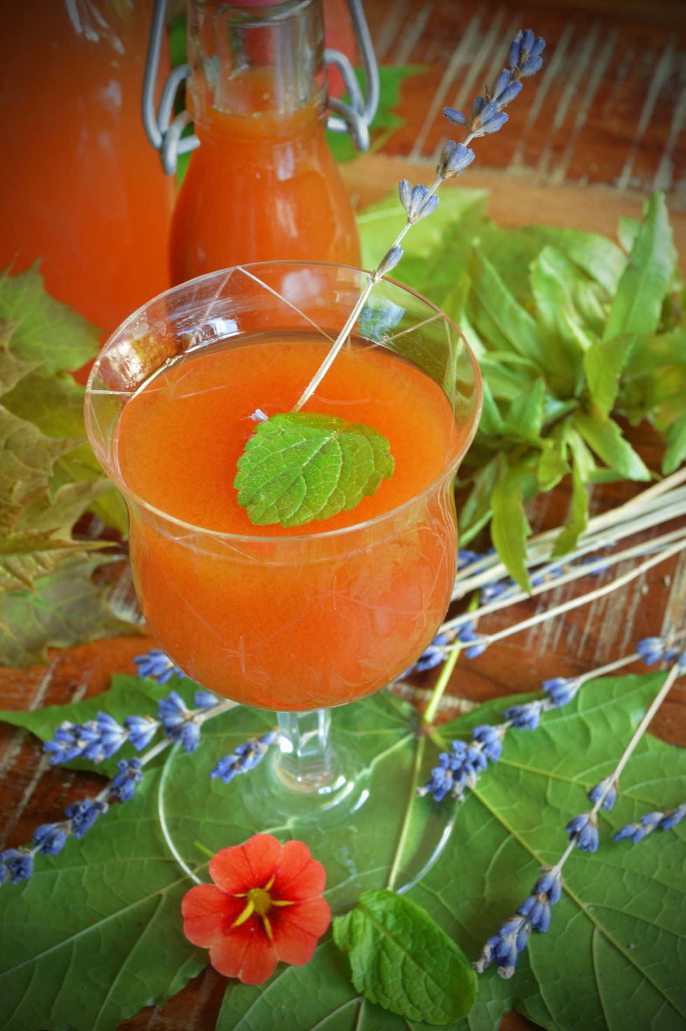 Shrub, Shrub selber machen, selber machen, Früchte, Essig, Shrub-Rezept, Aprikosen, Lavendel, Melone, Wassermelone, Minze, Ferment, fermentieren, Kräuter, Fermentation, gesunde Getränke, Kräuterhexe, Küchenhexe