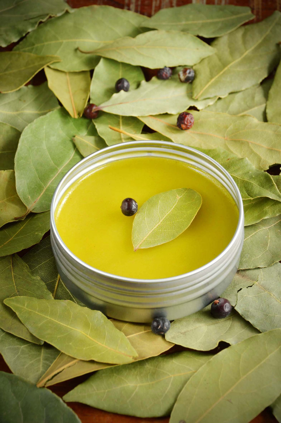 Lorbeer, Lorbeerbaum, Lorbeerkranz, Heilpflanze, Gewürzpflanze, Wacholder, Wacholderbeeren, Salbe, selber machen, diy, herstellen, Ölauszug, Naturkosmetik, ätherische Öle, Mythologie, Daphne und Apoll,