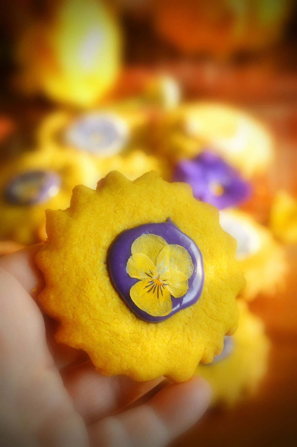 Kekse, Cookies, Sonne, Frühling, Goldene Milch, Kurkuma, Ingwer, shortbread, essbare Blüten, Hornveilchen, backen, Rezept, Goldene Milch Cookies, golden milk, Kräuterhexe, Küchenhexe, Gewürze, golden, 