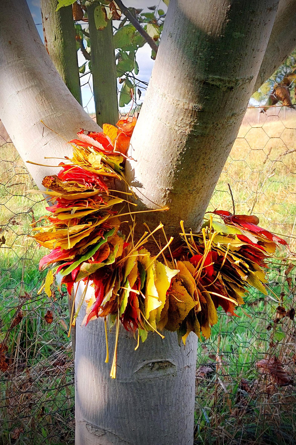 Herbst, Dekoration, Deko, selber machen, selbstgemacht, Kranz, Blätter, Blätterkranz, Herbstkranz, Herbstblätterkranz, diy, Herbstliebe, Herbstfarben, Blättergirlande, Pappelblätter, Pfaffenhütchen, Windlicht, Basteln, Kreatives, Natur, Naturmaterialien, 