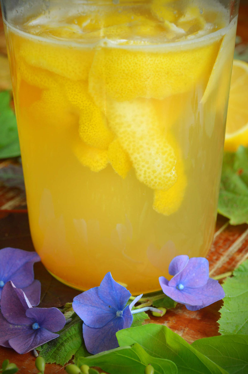 Zitronen, Zitrone, Zitrusfrüchte, fermentieren, Ferment, Fermentation, Rezept, selber machen, Limo, Limonade, Zitronenschalen, Darmflora, Mikrobiom, gesund, Getränk, Kohlensäure, Kräuterhexe, Küchenhexe