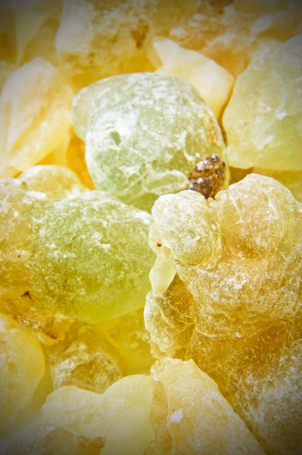 Weihrauch, Harz, Weihraucharten, Boswellia, Boswellia sacra, Boswellia serrata, Salbe, Balsam, Rose, entzündungshemmend, schmerzlindernd, ätherische Öle, grüne Hexe, Küchenhexe, Kräuterhexe, selber machen, Ölauszug, Weihrauch-Salbe,