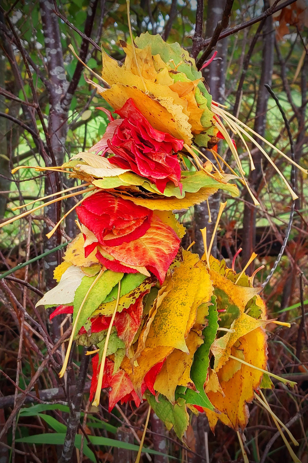 Herbst, Dekoration, Deko, selber machen, selbstgemacht, Kranz, Blätter, Blätterkranz, Herbstkranz, Herbstblätterkranz, diy, Herbstliebe, Herbstfarben, Blättergirlande, Pappelblätter, Pfaffenhütchen, Windlicht, Basteln, Kreatives, Natur, Naturmaterialien, 