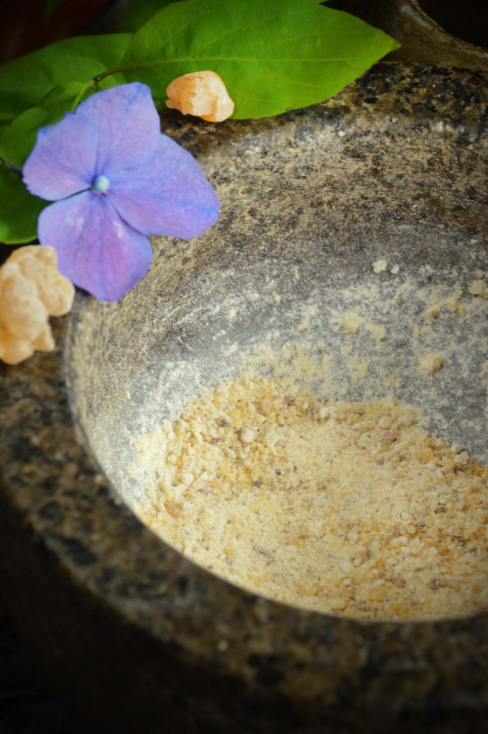 Weihrauch, Harz, Weihraucharten, Boswellia, Boswellia sacra, Boswellia serrata, Salbe, Balsam, Rose, entzündungshemmend, schmerzlindernd, ätherische Öle, grüne Hexe, Küchenhexe, Kräuterhexe, selber machen, Ölauszug, Weihrauch-Salbe,