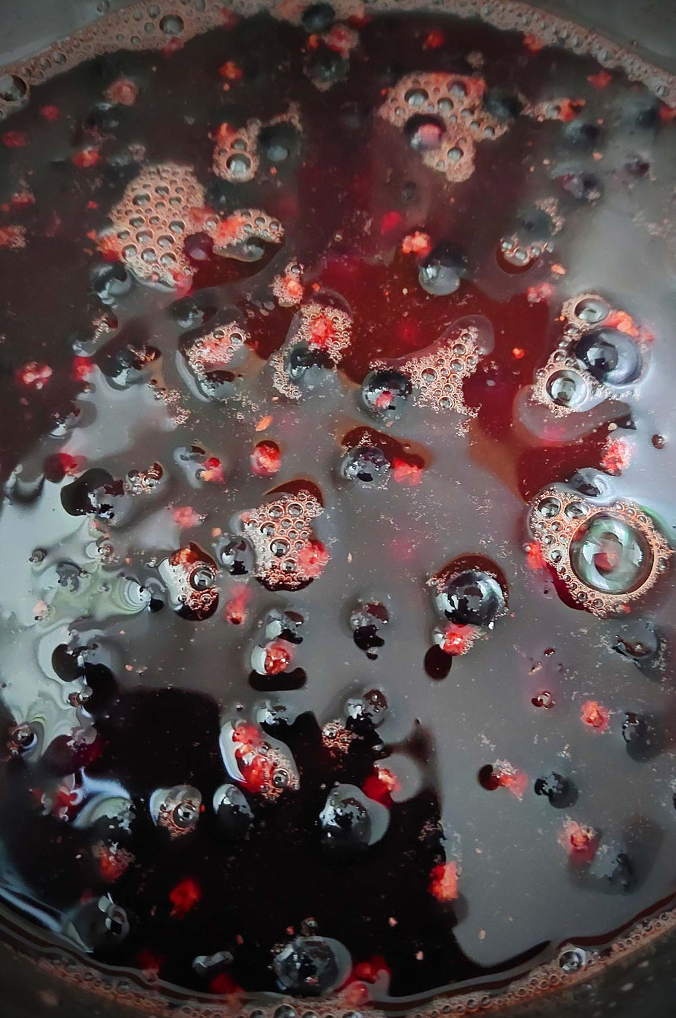 Essig, Fruchtessig, Balsam, Balsamico, Weißweinessig, Aprikose, Rosmarin, Chili, Schwarze Johannisbeere, Schlehen, Essig herstellen, fruchtige Essige selber machen, selber machen, diy, Früchte, Resteverwertung