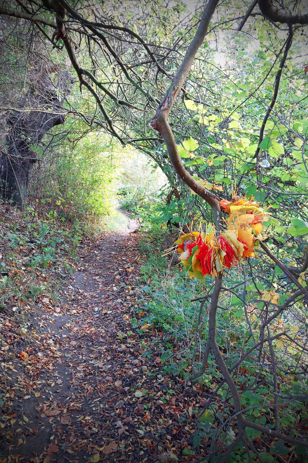 Herbst, Dekoration, Deko, selber machen, selbstgemacht, Kranz, Blätter, Blätterkranz, Herbstkranz, Herbstblätterkranz, diy, Herbstliebe, Herbstfarben, Blättergirlande, Pappelblätter, Pfaffenhütchen, Windlicht, Basteln, Kreatives, Natur, Naturmaterialien, 