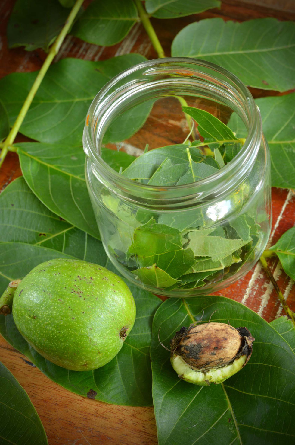 Walnuss, Walnussbaum, Walnussblätter, Echte Walnuss, Juglans regia, Walnussblüte, Walnussblättertee, Tee, Aufguss, Umschlag, Hauterkrankungen, Verdauung, Immunsystem, Tinktur, Alkohol, Auszug, Kräuterhexe, Akne, Gerbstoffe, Bitterstoffe