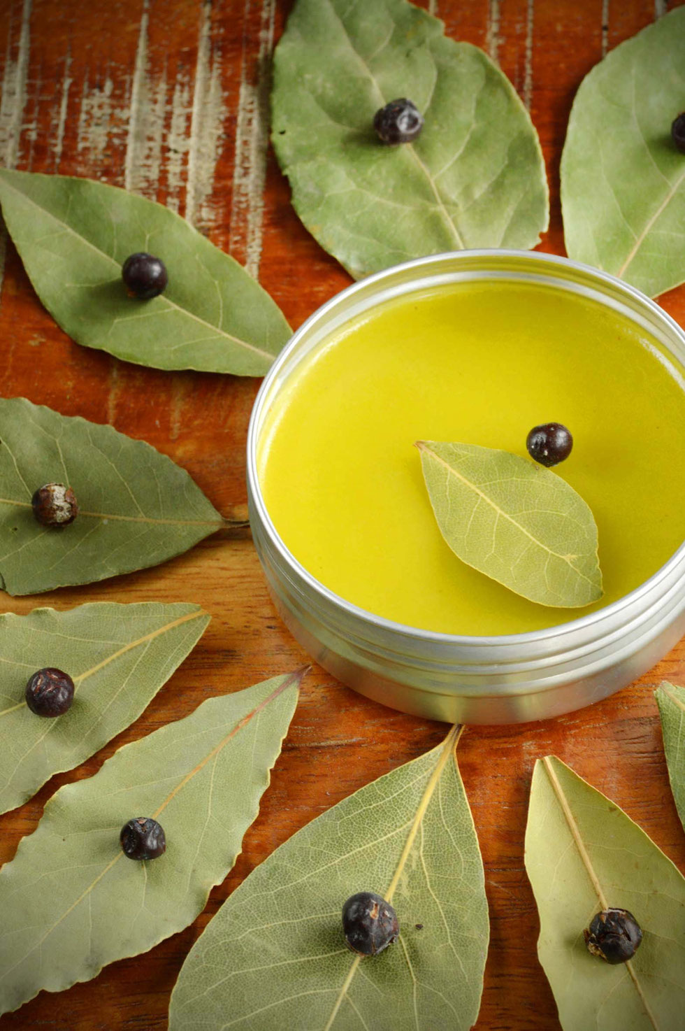 Lorbeer, Lorbeerbaum, Lorbeerkranz, Heilpflanze, Gewürzpflanze, Wacholder, Wacholderbeeren, Salbe, selber machen, diy, herstellen, Ölauszug, Naturkosmetik, ätherische Öle, Mythologie, Daphne und Apoll,