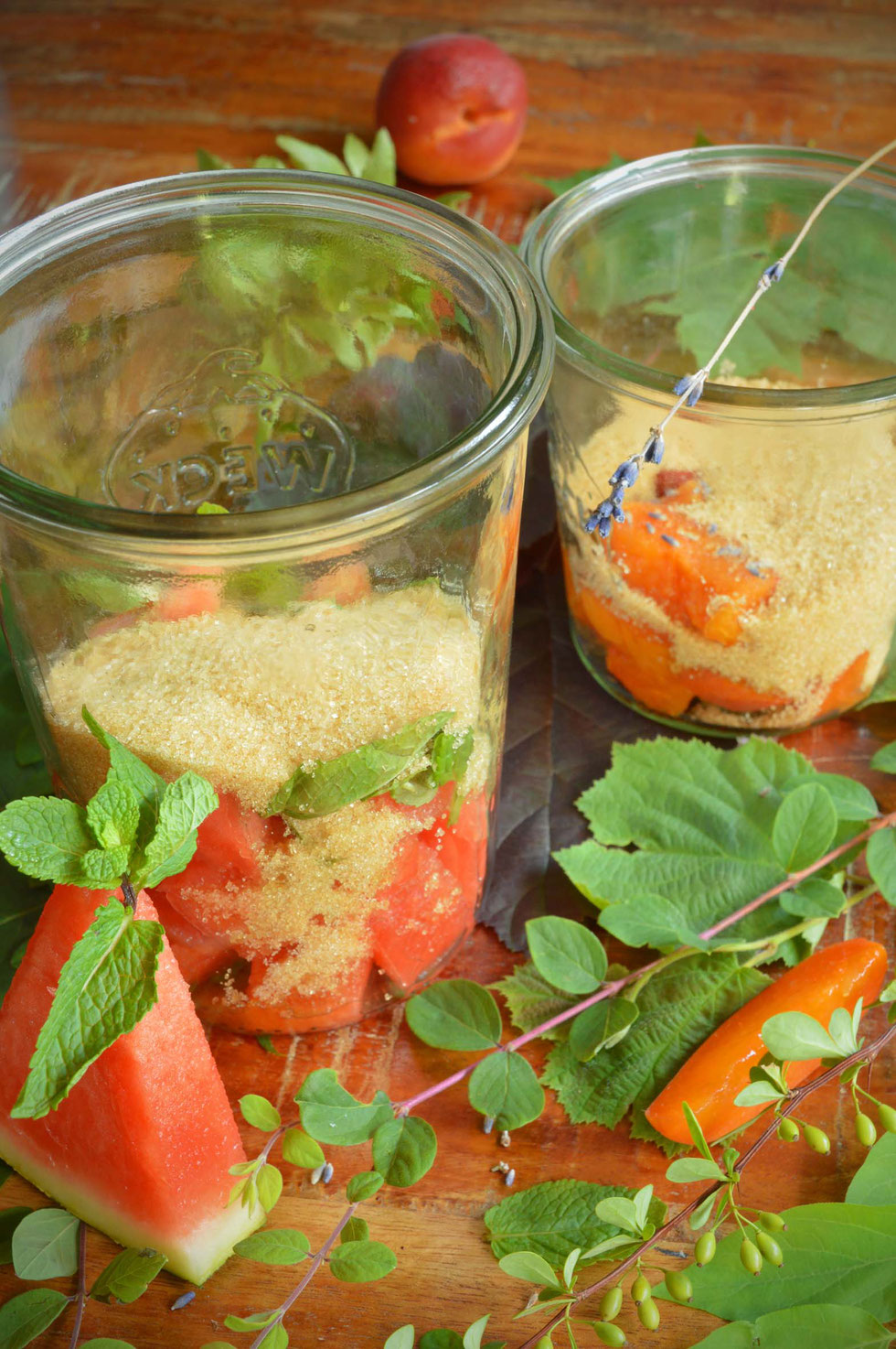 Shrub, Shrub selber machen, selber machen, Früchte, Essig, Shrub-Rezept, Aprikosen, Lavendel, Melone, Wassermelone, Minze, Ferment, fermentieren, Kräuter, Fermentation, gesunde Getränke, Kräuterhexe, Küchenhexe
