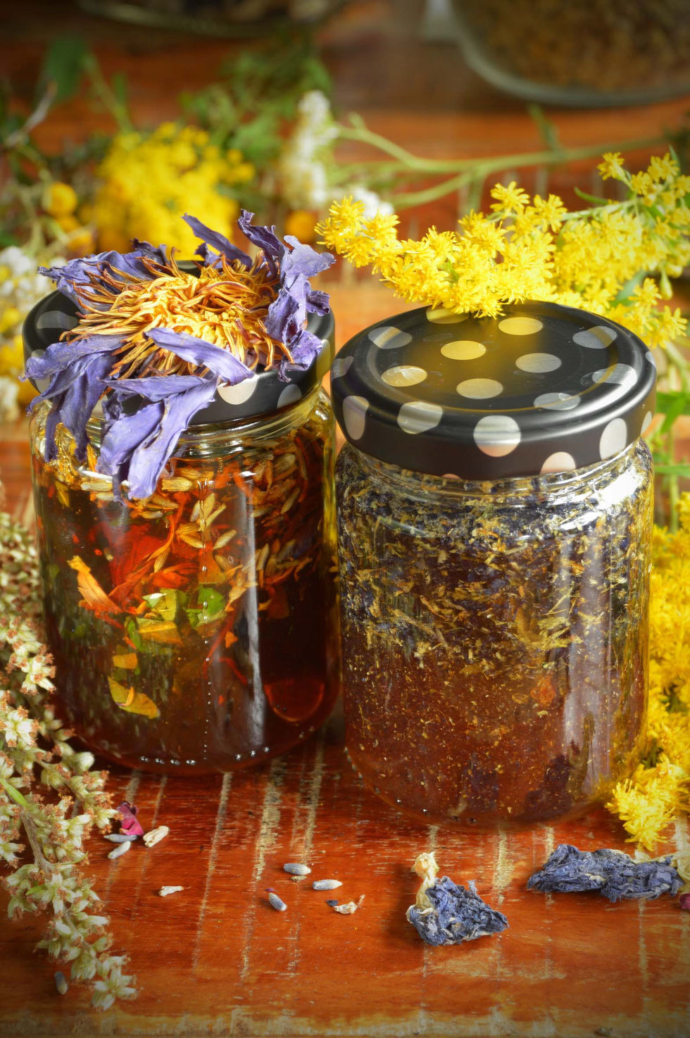 Honig, Honey, herbal, Kräuter, selber machen, selbstgemacht, infused honey, Elektuar, electuary, gesund, Erkältung, Magen-Darm, Schlaf, Blue Lotus, Blue pea, Rose, Beifuß, Kamille, Rosmarin, Salbei, Tulsi, Kräuterhexe, Küchenhexe,