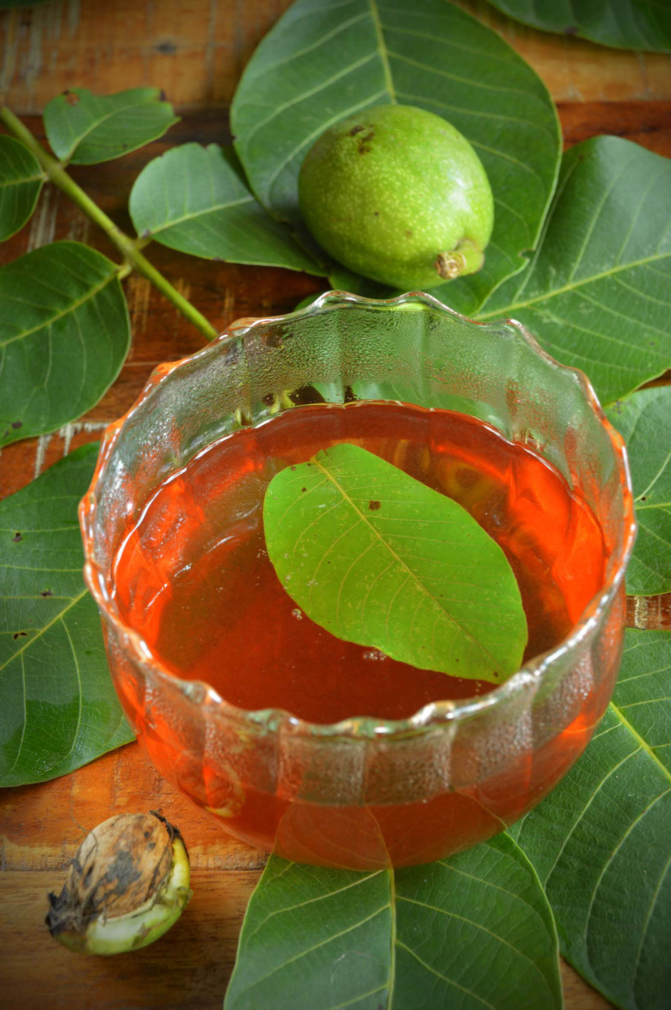 Walnuss, Walnussbaum, Walnussblätter, Echte Walnuss, Juglans regia, Walnussblüte, Walnussblättertee, Tee, Aufguss, Umschlag, Hauterkrankungen, Verdauung, Immunsystem, Tinktur, Alkohol, Auszug, Kräuterhexe, Akne, Gerbstoffe, Bitterstoffe