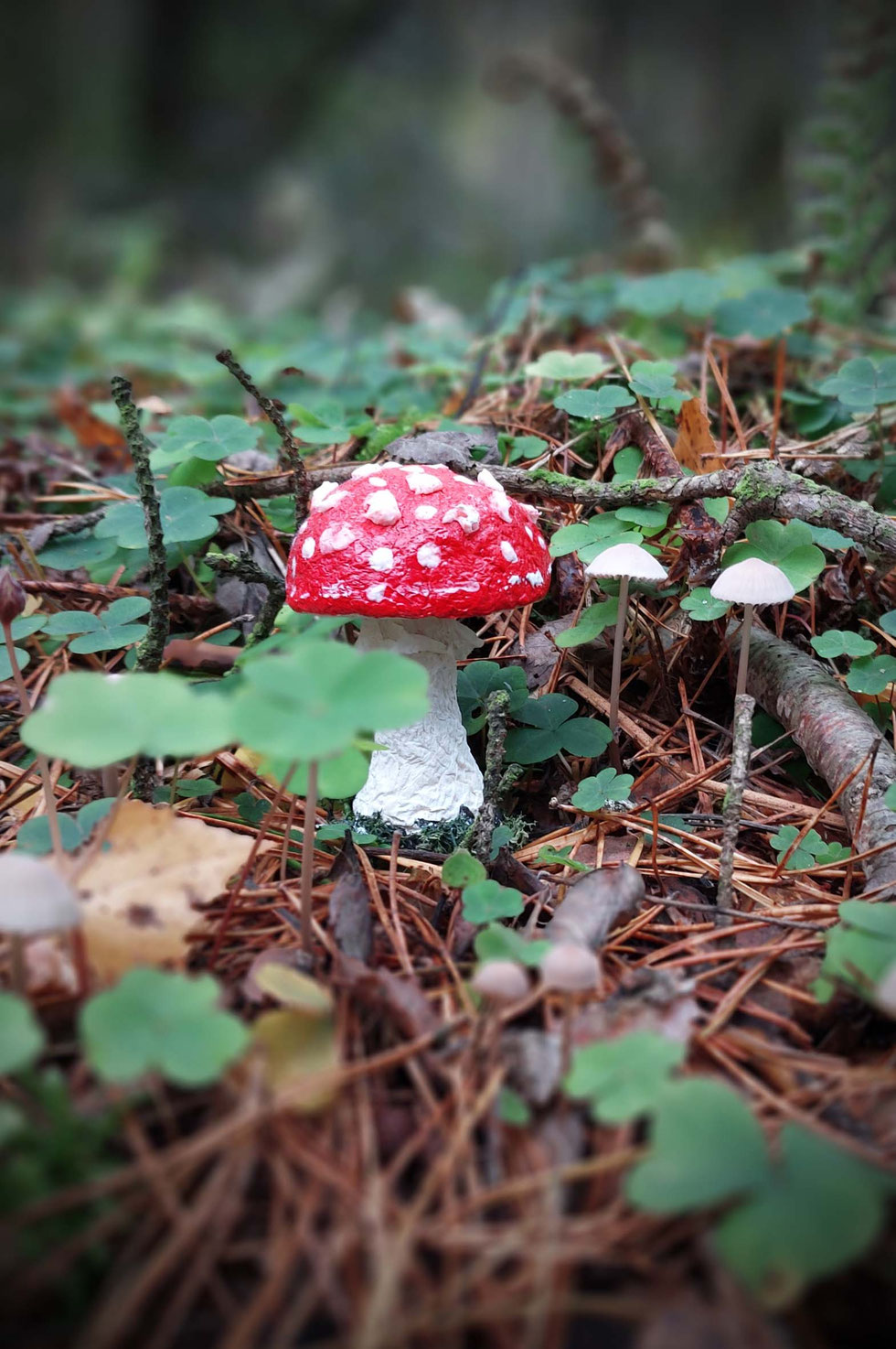 Fliegenpilz, Krötenstuhl, Mythologie, Amanita, Amanita muscaria, selber machen, Papiermaché, handgemacht, diy, Wald, Ibotensäure, Muscimol, Microdosing, getrocknete Pilze, giftig, toxisch, basteln, Pilze, nordische, Pantherina-Syndrom, Pantherpilz 