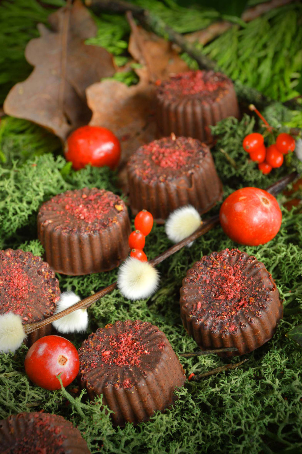 Pralinen, Schokolade, Kräuterpralinen, Kräuter, Hibiskus, Tulsi, fruchtig, Mango, Ananas, gesund, Cranberrries, chocolate, herbal, hibiscus, pineapple, mango, tulsi, pralines, diy, recipe, Rezept, healthy,